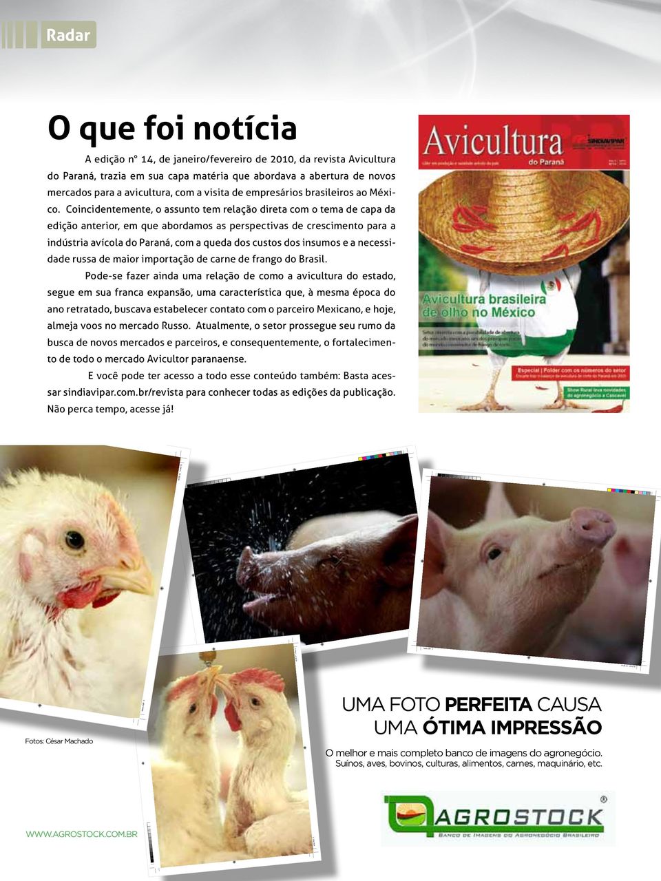 Coincidentemente, o assunto tem relação direta com o tema de capa da edição anterior, em que abordamos as perspectivas de crescimento para a indústria avícola do Paraná, com a queda dos custos dos