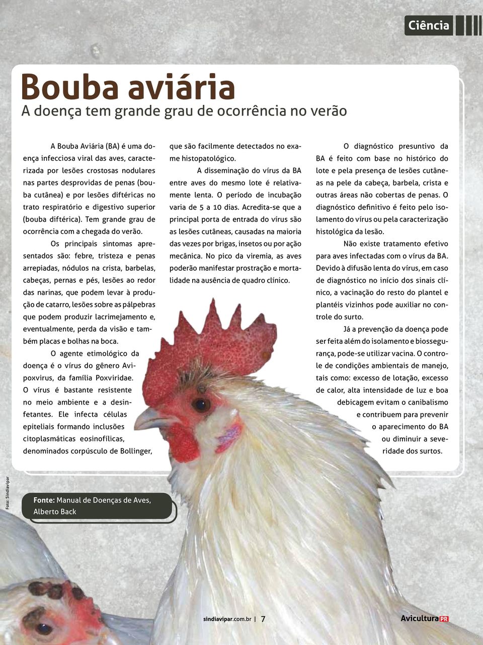 Os principais sintomas apresentados são: febre, tristeza e penas arrepiadas, nódulos na crista, barbelas, cabeças, pernas e pés, lesões ao redor das narinas, que podem levar à produção de catarro,