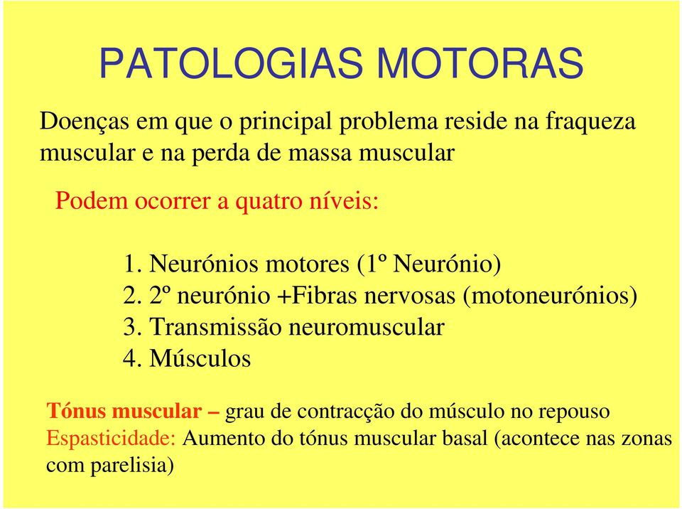 2º neurónio +Fibras nervosas (motoneurónios) 3. Transmissão neuromuscular 4.