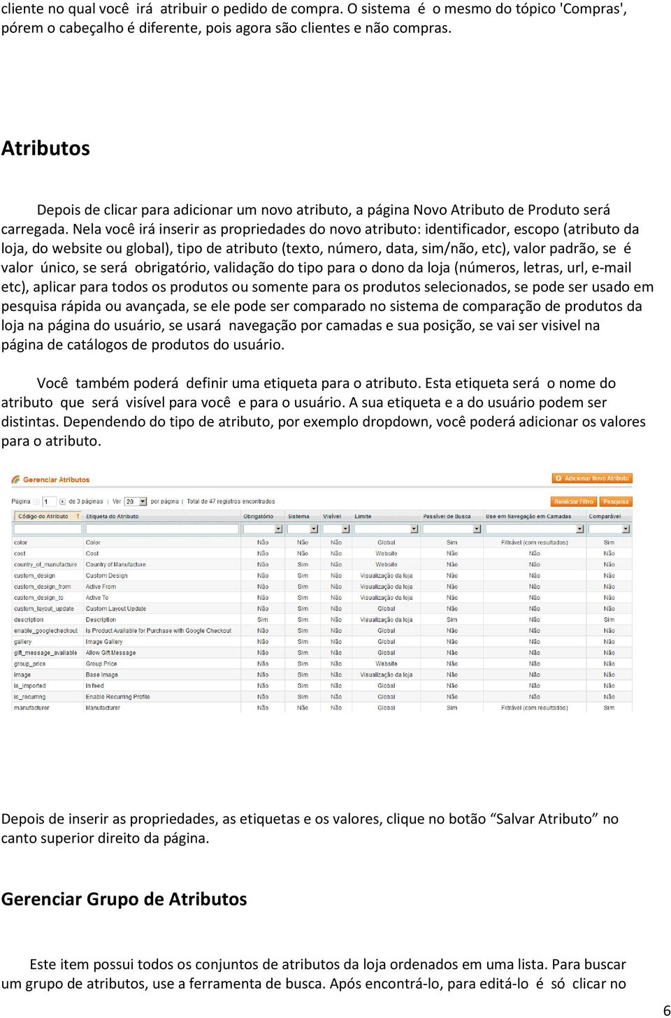 Nela você irá inserir as propriedades do novo atributo: identificador, escopo (atributo da loja, do website ou global), tipo de atributo (texto, número, data, sim/não, etc), valor padrão, se é valor