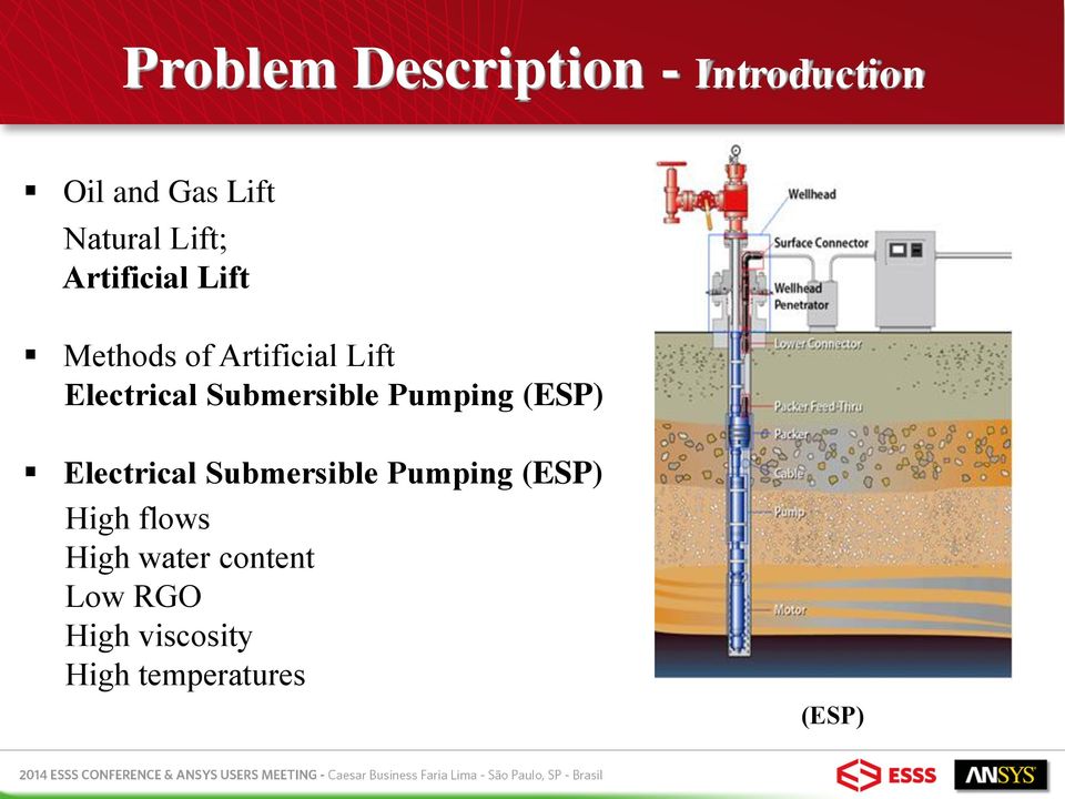 Submersible Pumping (ESP) Electrical Submersible Pumping (ESP)