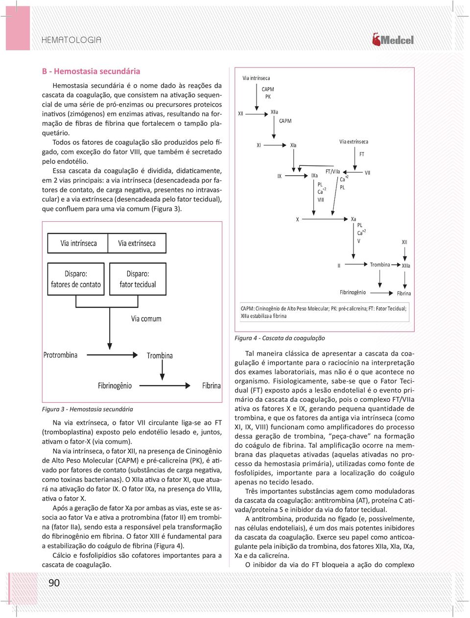 Todos os fatores de coagulação são produzidos pelo fígado, com exceção do fator VIII, que também é secretado pelo endotélio.