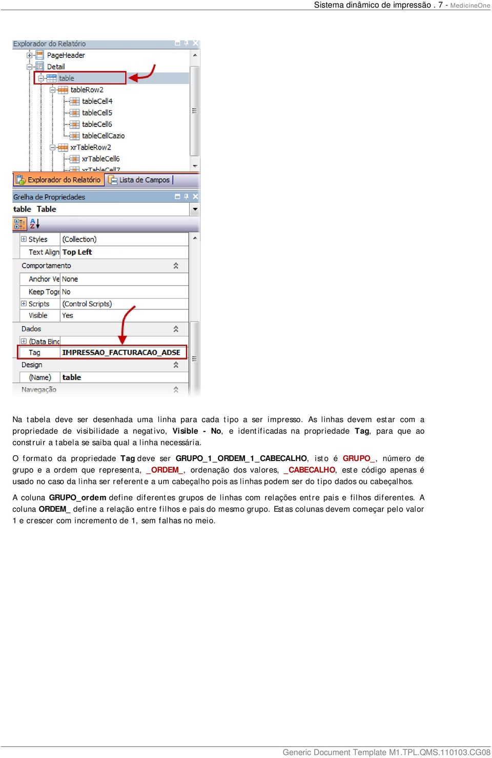 O formato da propriedade Tag deve ser GRUPO_1_ORDEM_1_CABECALHO, isto é GRUPO_, número de grupo e a ordem que representa, _ORDEM_, ordenação dos valores, _CABECALHO, este código apenas é usado no