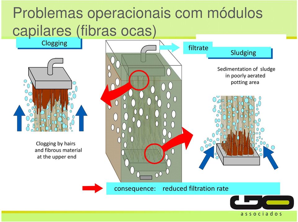 poorly aerated potting area Clogging by hairs and fibrous