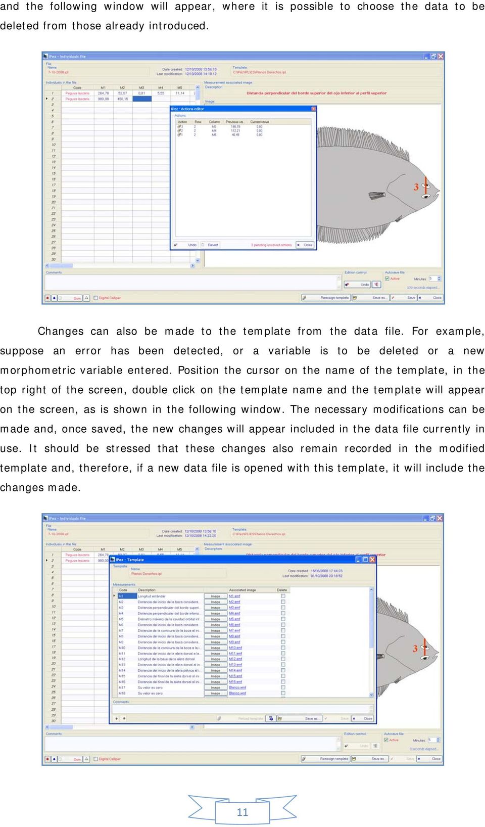 Position the cursor on the name of the template, in the top right of the screen, double click on the template name and the template will appear on the screen, as is shown in the following window.