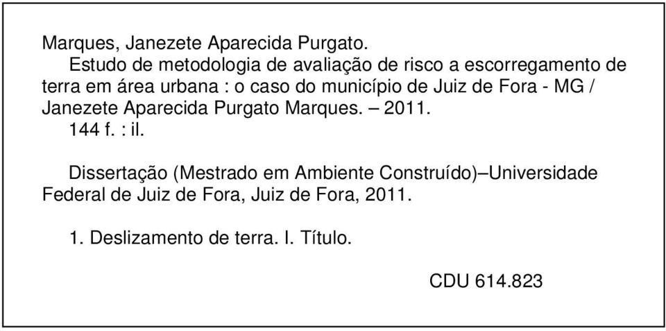 do município de Juiz de Fora - MG / Janezete Aparecida Purgato Marques. 2011. 144 f. : il.