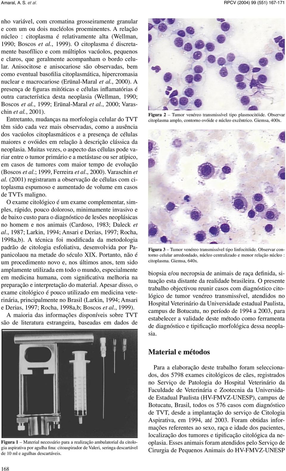 Anisocitose e anisocariose são observadas, bem como eventual basofilia citoplasmática, hipercromasia nuclear e macrocariose (Erünal-Maral et al., 2000).