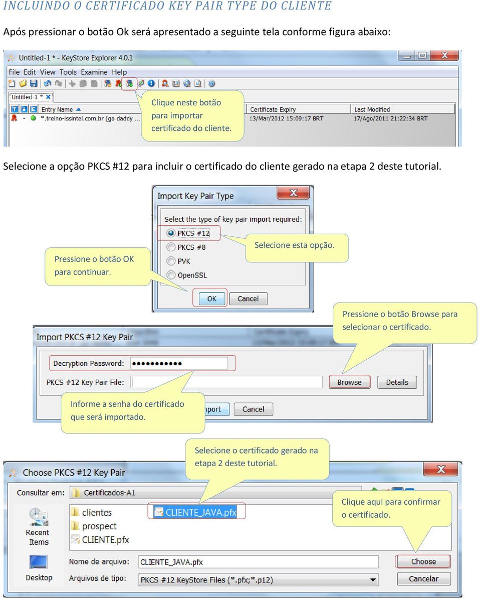 Selecione a opção PKCS #12 para incluir o certificado do cliente gerado na etapa 2 deste tutorial. Pressione o botão OK para continuar.