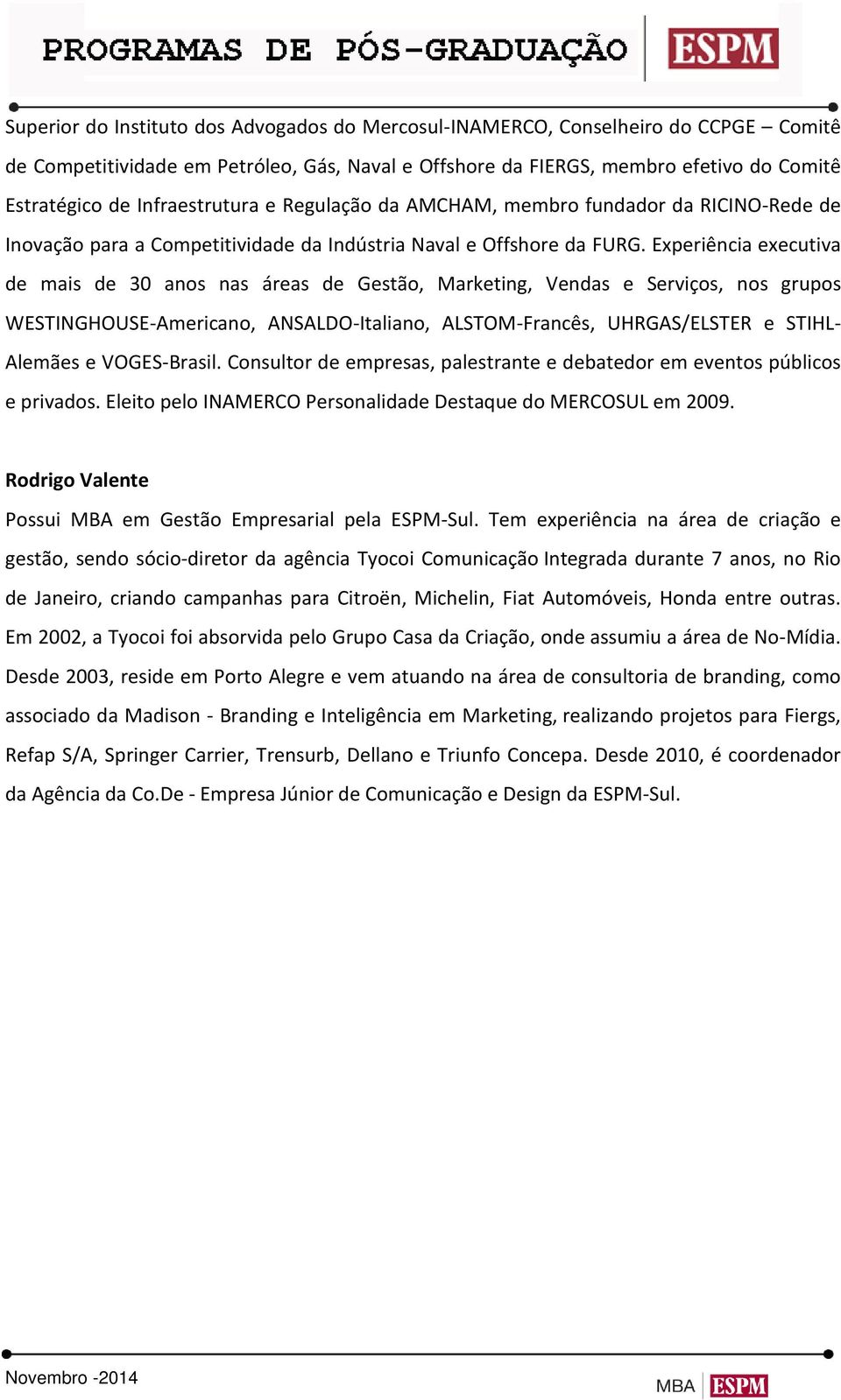 Experiência executiva de mais de 30 anos nas áreas de Gestão, Marketing, Vendas e Serviços, nos grupos WESTINGHOUSE-Americano, ANSALDO-Italiano, ALSTOM-Francês, UHRGAS/ELSTER e STIHL- Alemães e