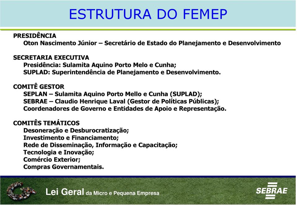 COMITÊ GESTOR SEPLAN Sulamita Aquino Porto Mello e Cunha (SUPLAD); SEBRAE Claudio Henrique Laval (Gestor de Políticas Públicas); P Coordenadores de Governo e