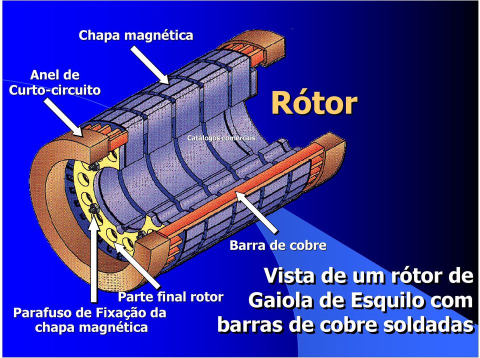 um um rrótor de arte final rotor Gaiola de Esquilo com