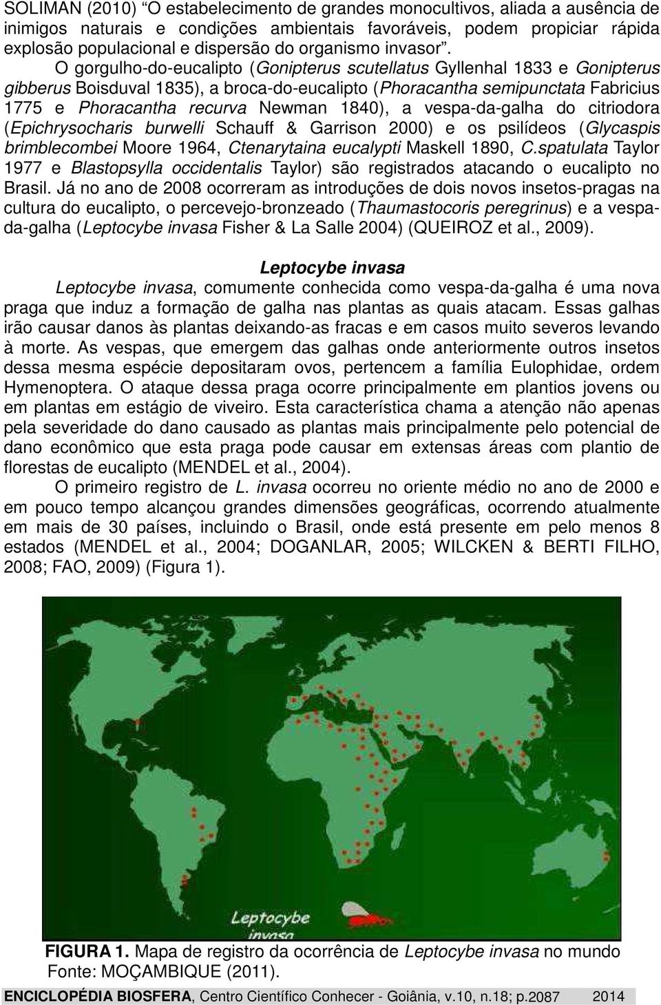 O gorgulho-do-eucalipto (Gonipterus scutellatus Gyllenhal 1833 e Gonipterus gibberus Boisduval 1835), a broca-do-eucalipto (Phoracantha semipunctata Fabricius 1775 e Phoracantha recurva Newman 1840),