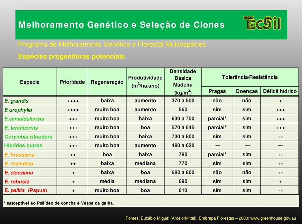 camaldulensis +++ muito boa baixa 630 a 700 parcial* sim +++ E.