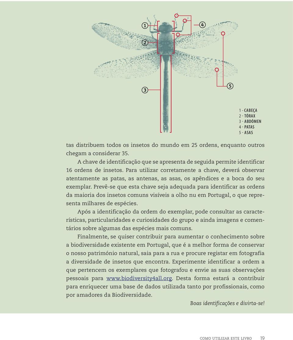 Prevê-se que esta chave seja adequada para identificar as ordens da maioria dos insetos comuns visíveis a olho nu em Portugal, o que representa milhares de espécies.