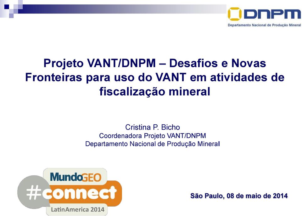 P. Bicho Coordenadora Projeto VANT/DNPM Departamento