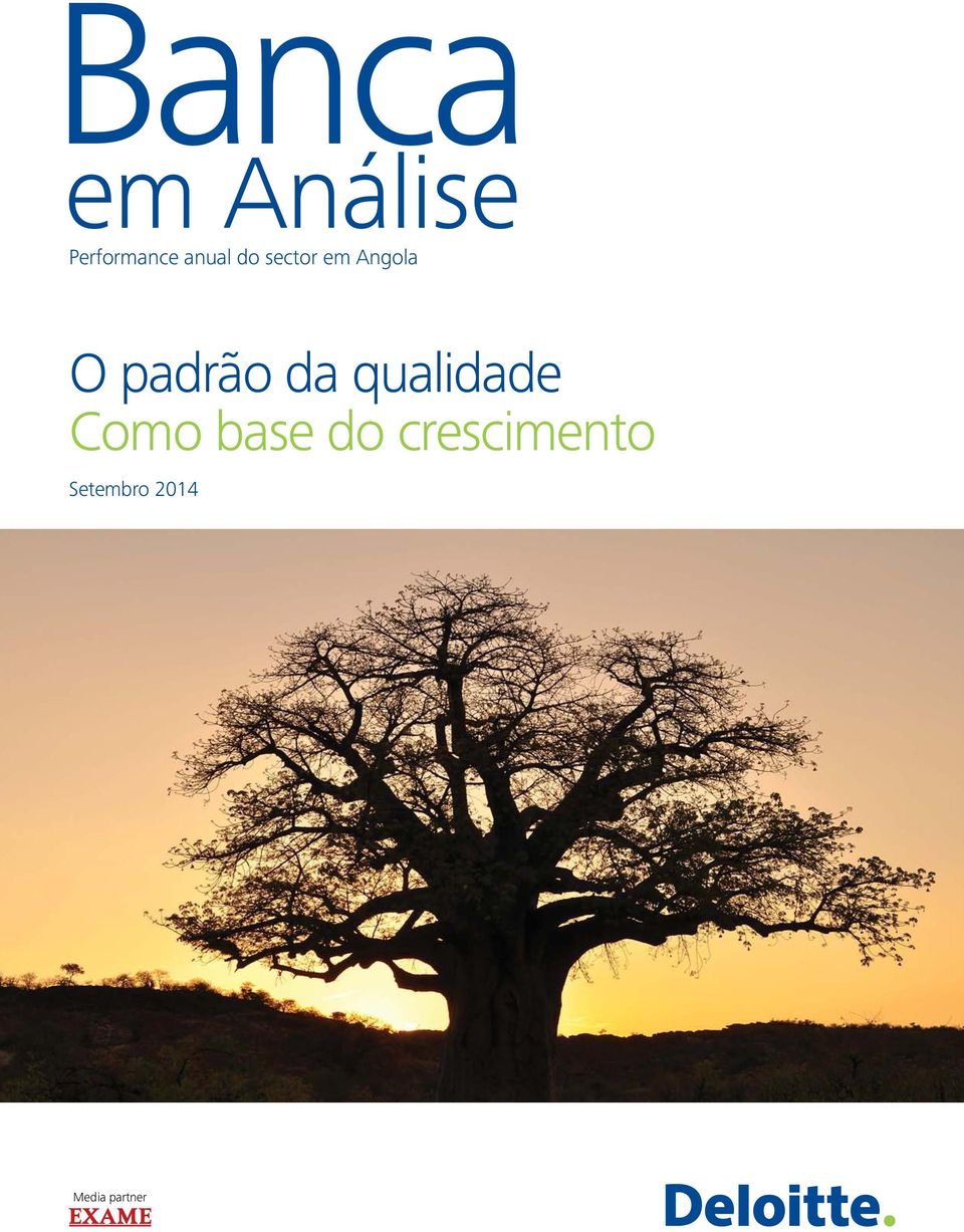 padrão da qualidade Como base do