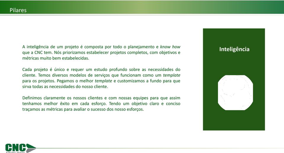 Inteligência Cada projeto é único e requer um estudo profundo sobre as necessidades do cliente.