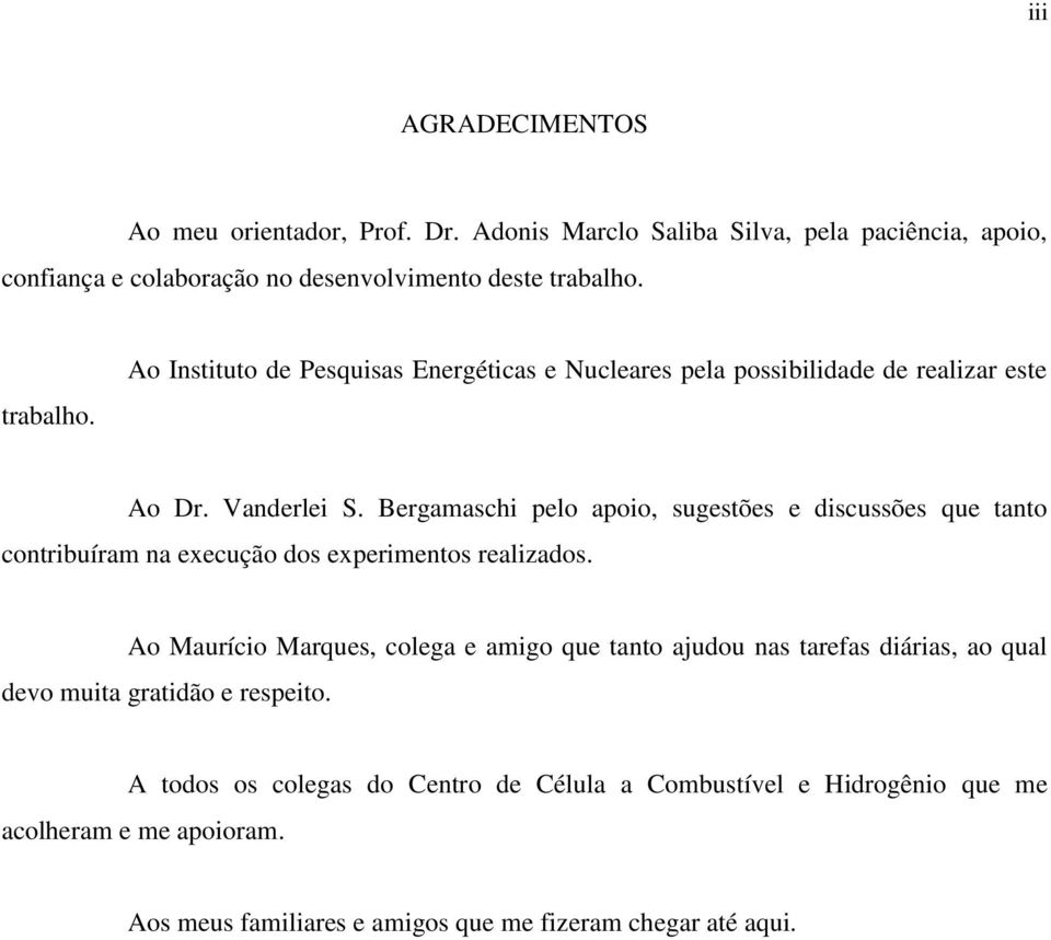 Bergamaschi pelo apoio, sugestões e discussões que tanto contribuíram na execução dos experimentos realizados.