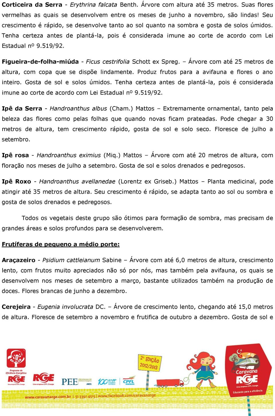 519/92. Figueira-de-folha-miúda - Ficus cestrifolia Schott ex Spreg. Árvore com até 25 metros de altura, com copa que se dispõe lindamente. Produz frutos para a avifauna e flores o ano inteiro.