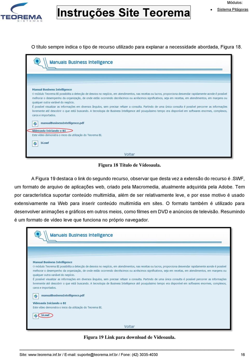 Tem por característica suportar conteúdo multimídia, além de ser relativamente leve, e por esse motivo é usado extensivamente na Web para inserir conteúdo multimídia em sites.