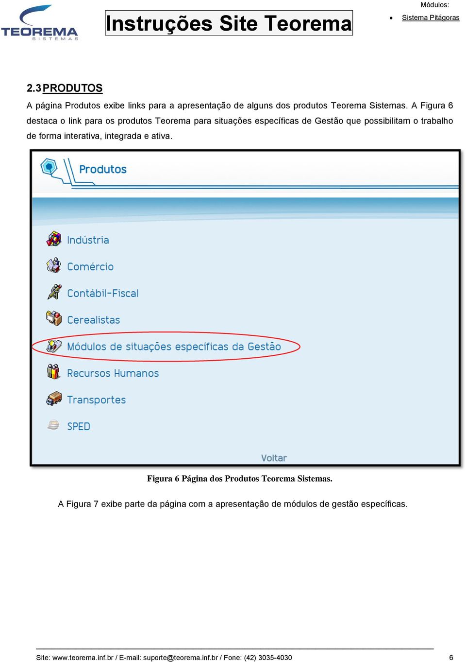 forma interativa, integrada e ativa. Figura 6 Página dos Produtos Teorema Sistemas.