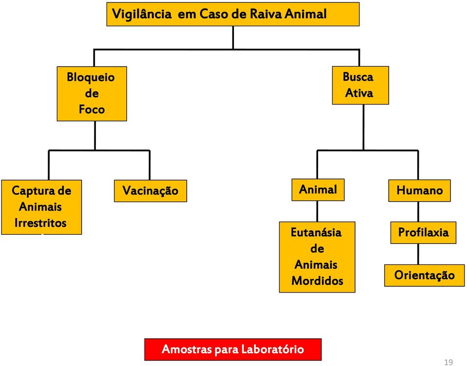Vacinação Animal Eutanásia de Animais Mordidos