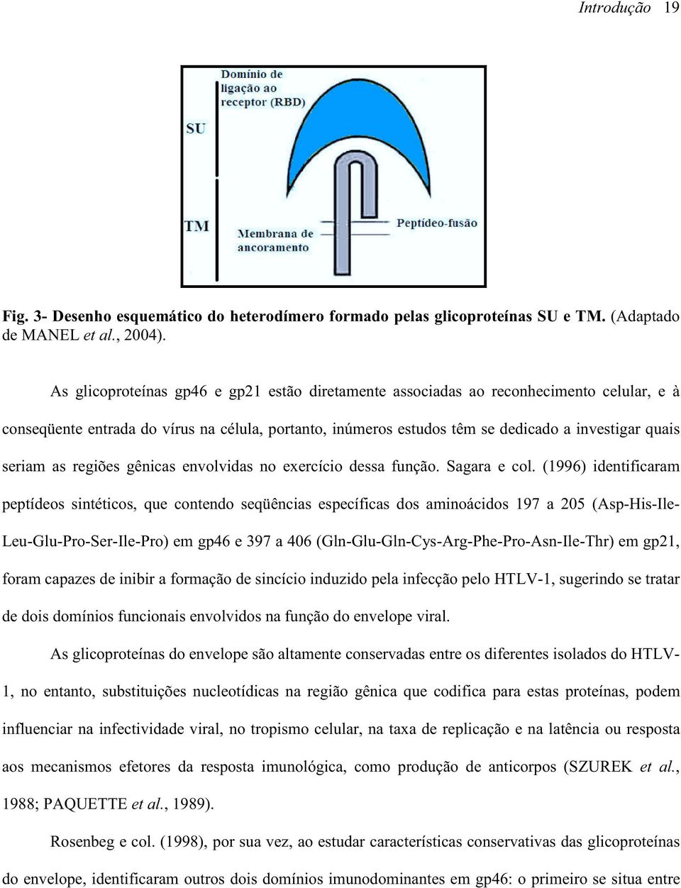 as regiões gênicas envolvidas no exercício dessa função. Sagara e col.