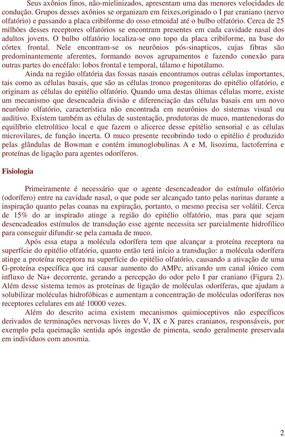 Cerca de 25 milhões desses receptores olfatórios se encontram presentes em cada cavidade nasal dos adultos jovens.