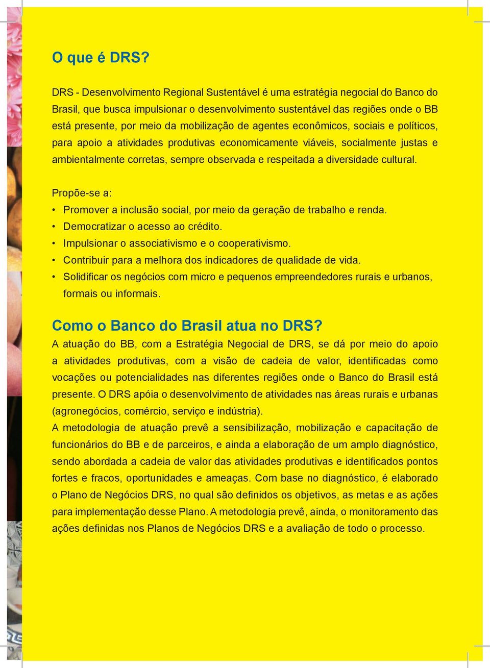 mobilização de agentes econômicos, sociais e políticos, para apoio a atividades produtivas economicamente viáveis, socialmente justas e ambientalmente corretas, sempre observada e respeitada a