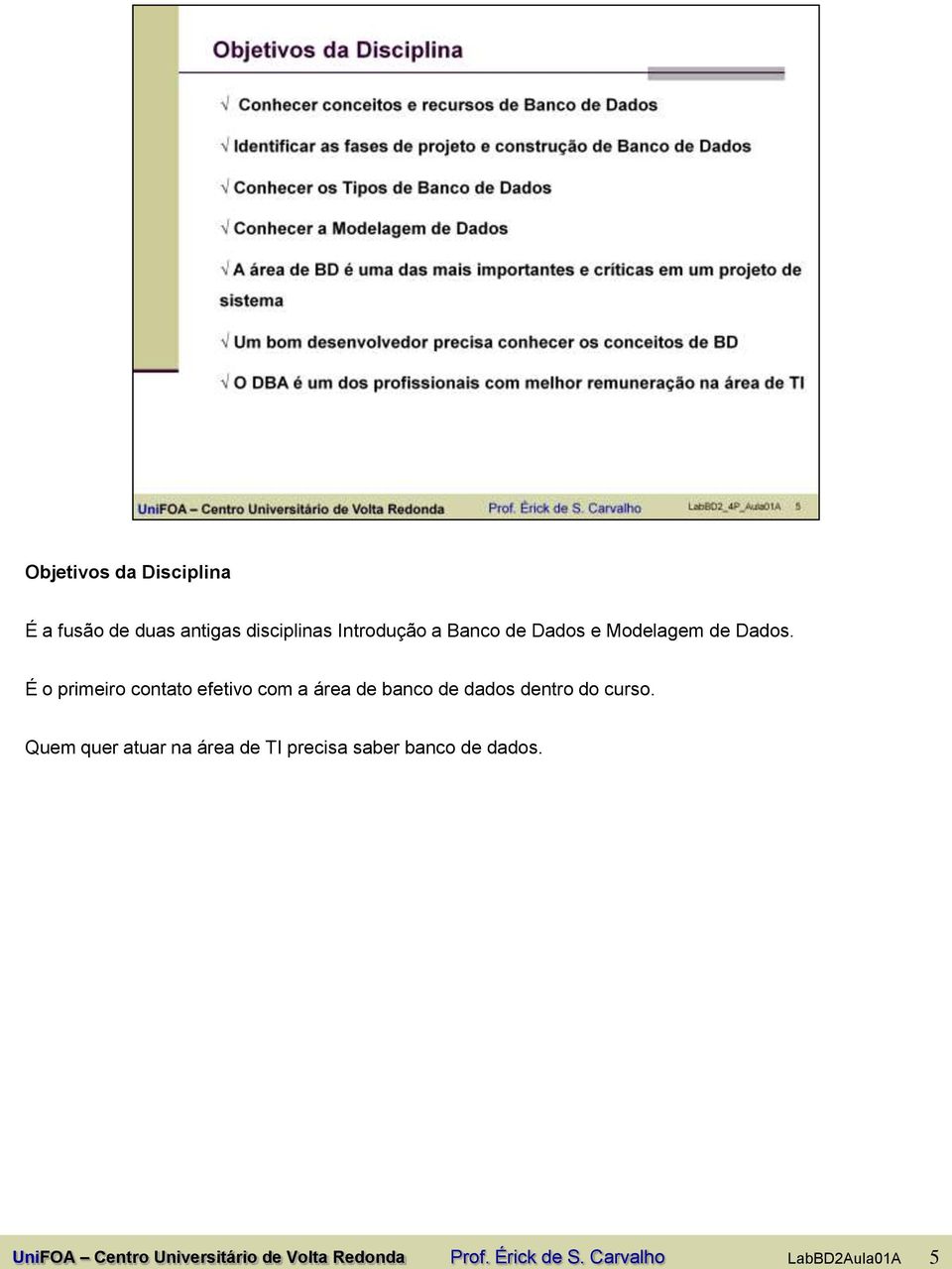 É o primeiro contato efetivo com a área de banco de dados dentro do curso.