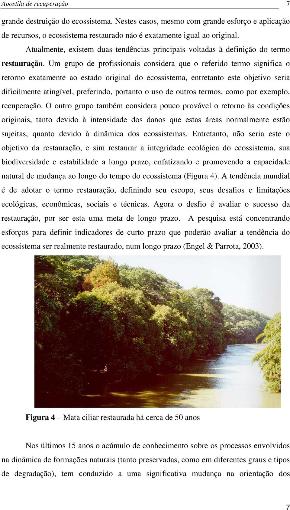 Um grupo de profissionais considera que o referido termo significa o retorno exatamente ao estado original do ecossistema, entretanto este objetivo seria dificilmente atingível, preferindo, portanto