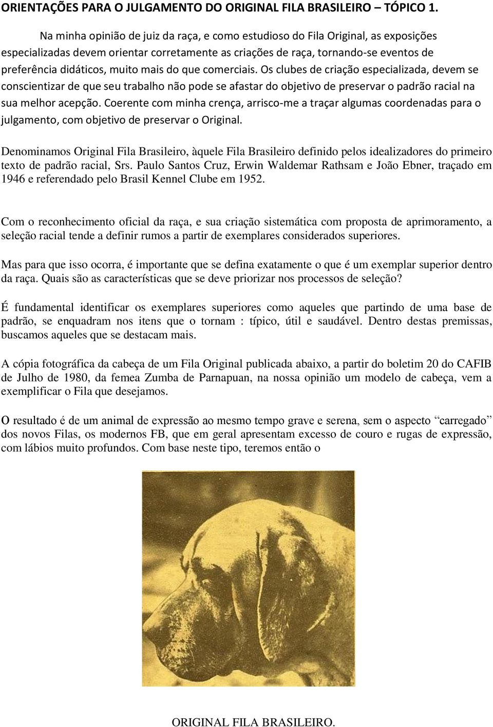 mais do que comerciais. Os clubes de criação especializada, devem se conscientizar de que seu trabalho não pode se afastar do objetivo de preservar o padrão racial na sua melhor acepção.