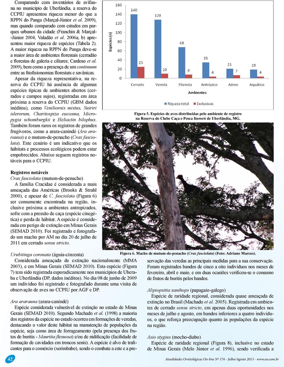 A maior riqueza na RPPN do Panga deve-se a maior área de ambientes florestais (cerradão e florestas de galeria e ciliares; Cardoso et al.