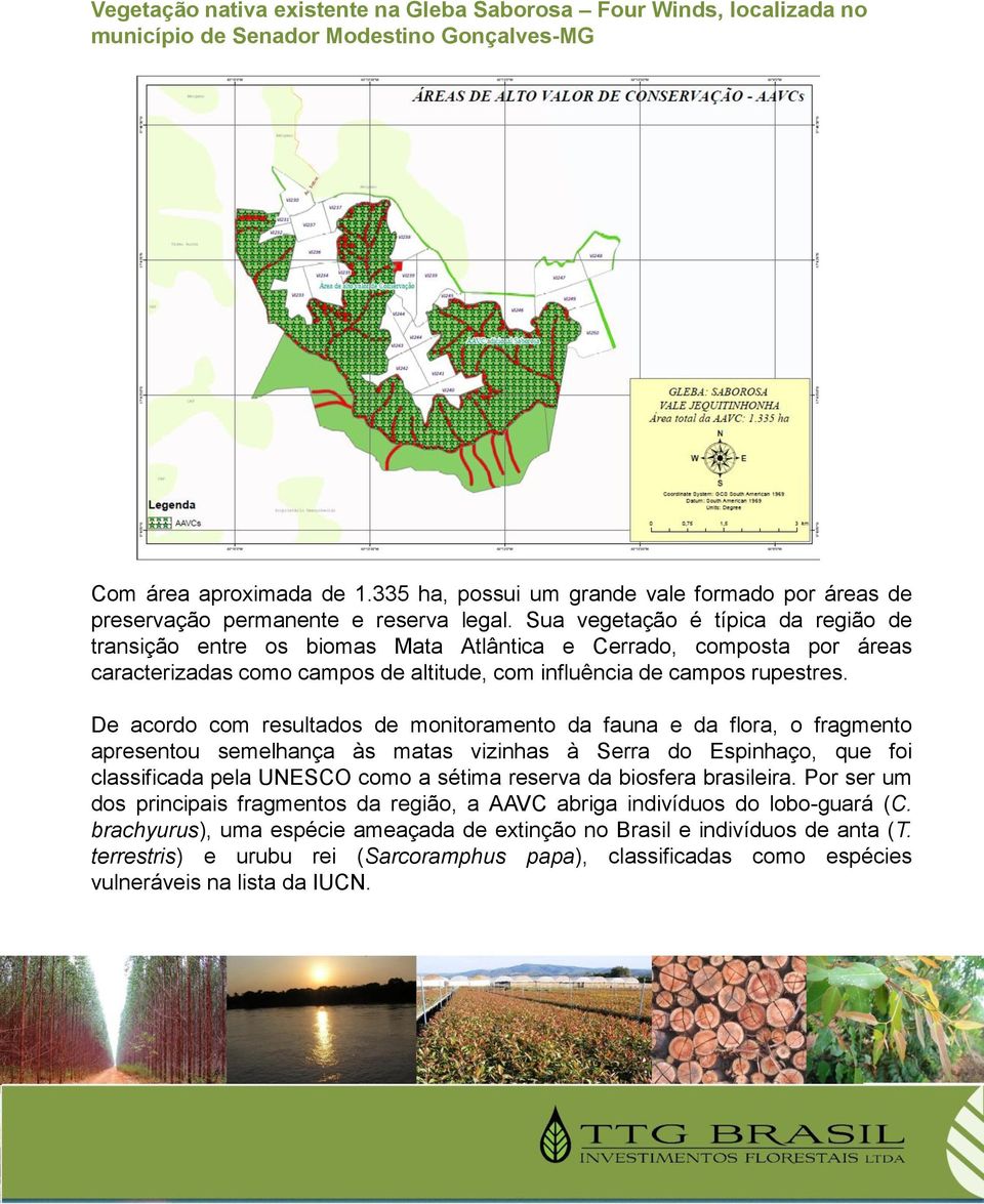 Sua vegetação é típica da região de transição entre os biomas Mata Atlântica e Cerrado, composta por áreas caracterizadas como campos de altitude, com influência de campos rupestres.