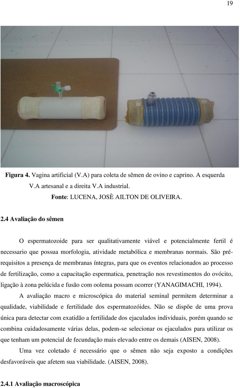 São prérequisitos a presença de membranas íntegras, para que os eventos relacionados ao processo de fertilização, como a capacitação espermatica, penetração nos revestimentos do ovócito, ligação à