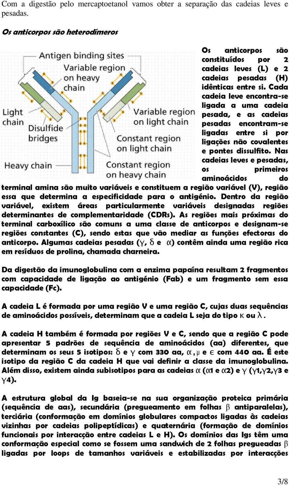 Cada cadeia leve encontra-se ligada a uma cadeia pesada, e as cadeias pesadas encontram-se ligadas entre si por ligações não covalentes e pontes dissulfito.