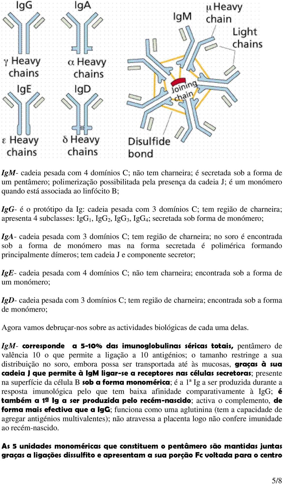 pesada com 3 domínios C; tem região de charneira; no soro é encontrada sob a forma de monómero mas na forma secretada é polimérica formando principalmente dímeros; tem cadeia J e componente secretor;