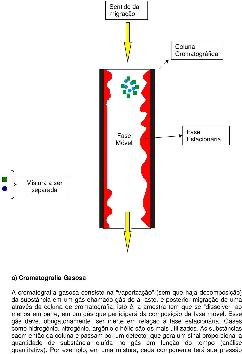 composição da fase móvel. Esse gás deve, obrigatoriamente, ser inerte em relação à fase estacionária. Gases como hidrogênio, nitrogênio, argônio e hélio são os mais utilizados.