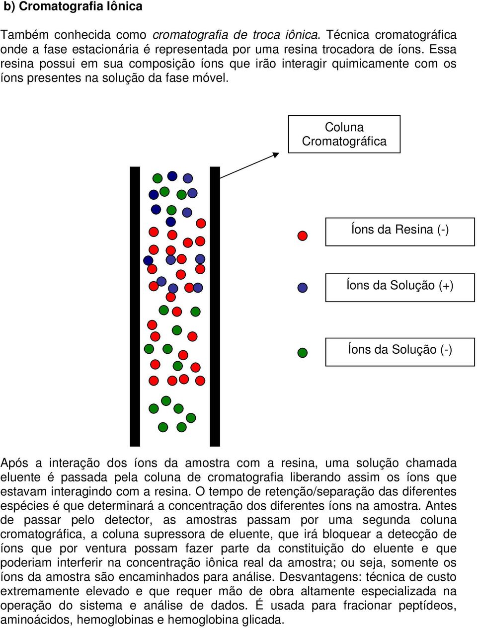 Coluna Cromatográfica Íons da Resina (-) Íons da Solução (+) Íons da Solução (-) Após a interação dos íons da amostra com a resina, uma solução chamada eluente é passada pela coluna de cromatografia