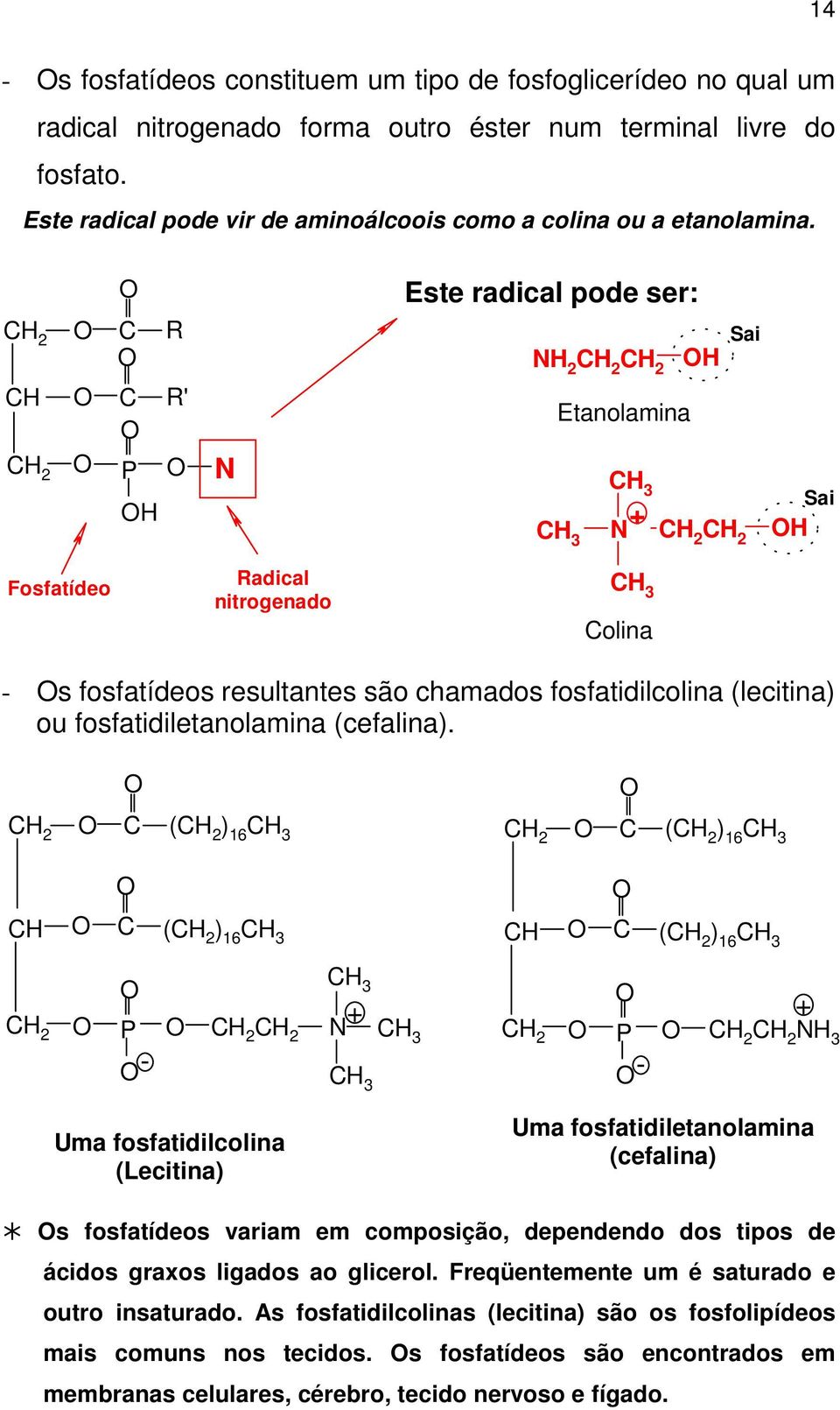 R Este radical pode ser: NH 2 H Sai H P H R' N Etanolamina N H Sai Fosfatídeo Radical nitrogenado olina - s fosfatídeos resultantes são chamados fosfatidilcolina (lecitina) ou fosfatidiletanolamina