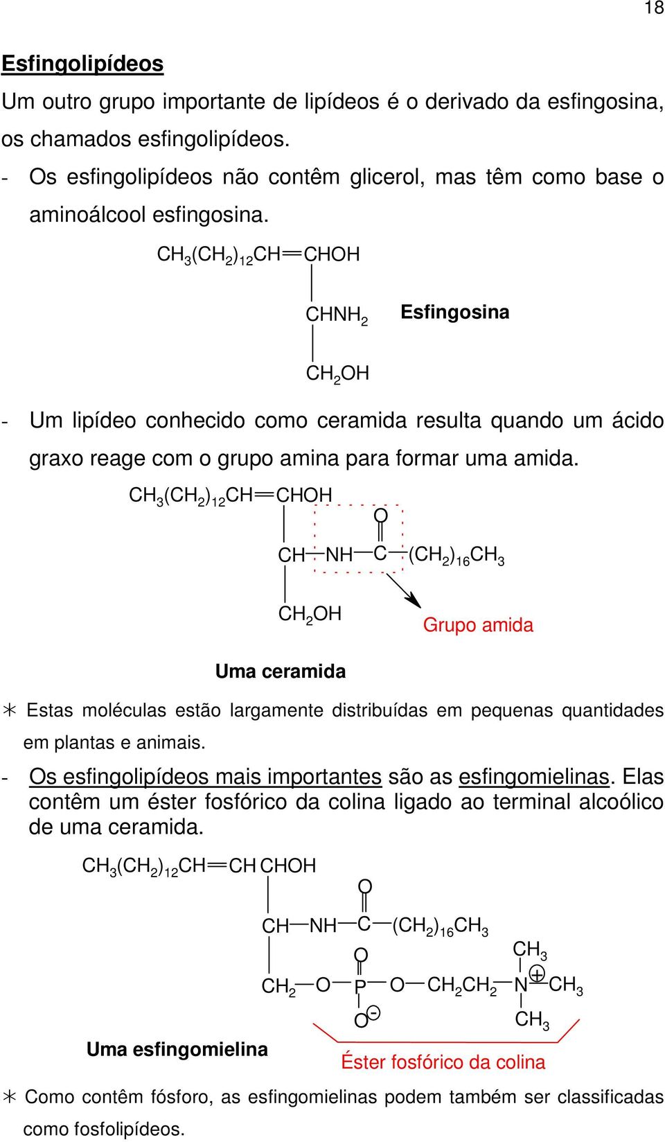 Estas moléculas estão largamente distribuídas em pequenas quantidades em plantas e animais. - s esfingolipídeos mais importantes são as esfingomielinas.