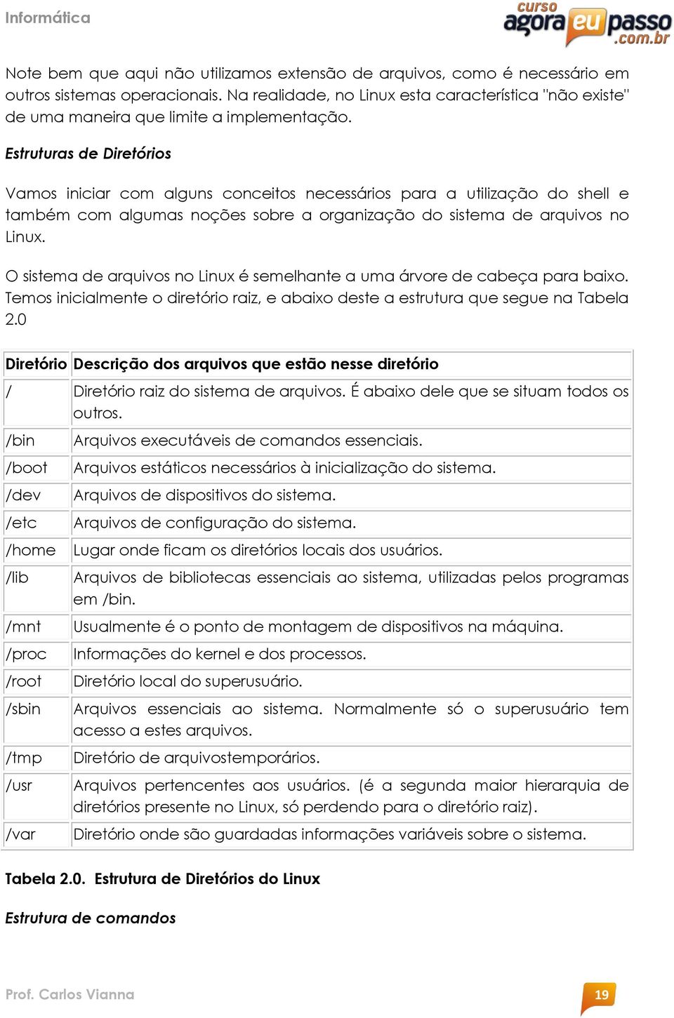 Estruturas de Diretórios Vamos iniciar com alguns conceitos necessários para a utilização do shell e também com algumas noções sobre a organização do sistema de arquivos no Linux.