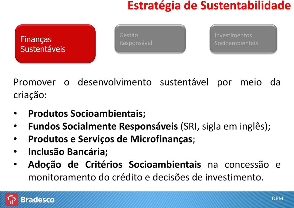 Socioambientais; Fundos Socialmente Responsáveis (SRI, sigla em inglês); Produtos e Serviços de