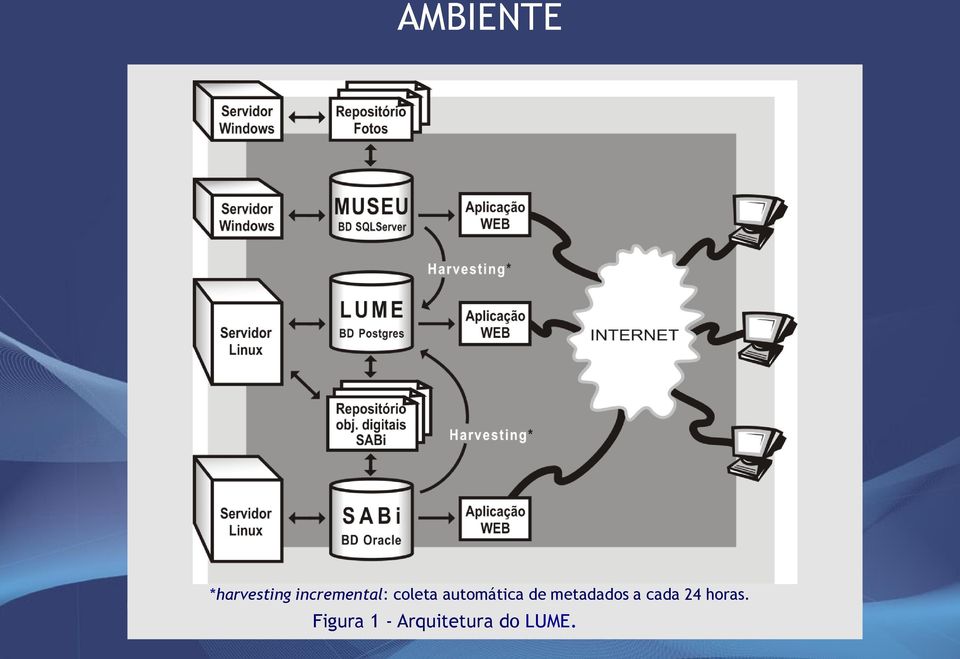 automática de metadados a