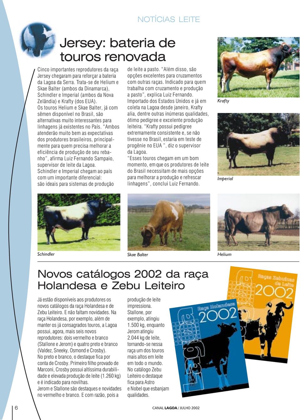 Os touros Helium e Skae Balter, já com sêmen disponível no Brasil, são alternativas muito interessantes para linhagens já existentes no País.