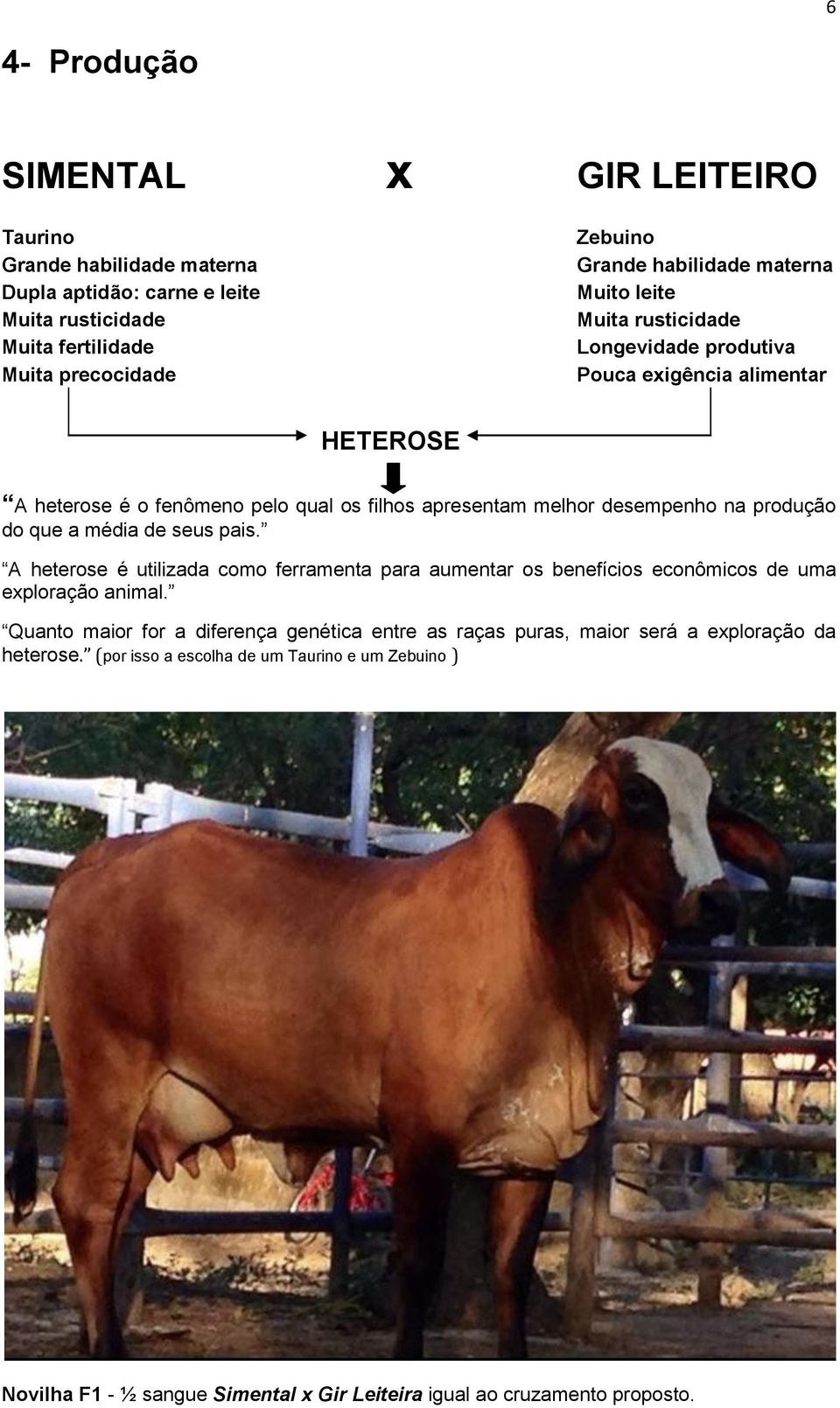 na produção do que a média de seus pais. A heterose é utilizada como ferramenta para aumentar os benefícios econômicos de uma exploração animal.