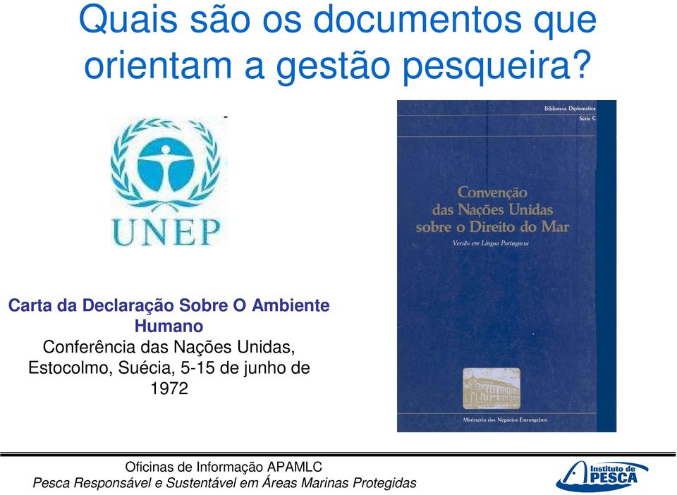 Carta da Declaração Sobre O Ambiente