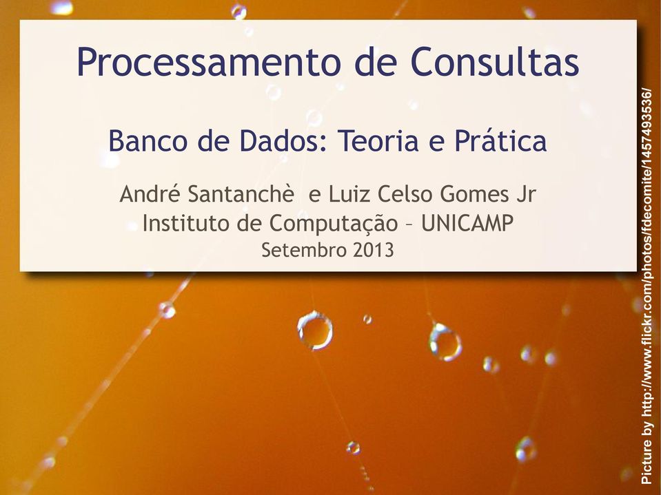 Instituto de Computação UNICAMP Setembro 2013