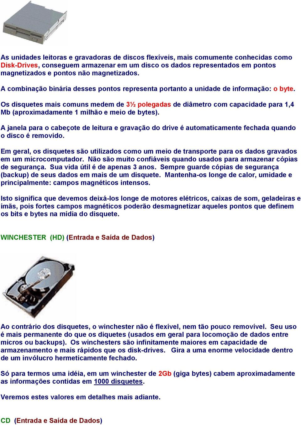 Os disquetes mais comuns medem de 3½ polegadas de diâmetro com capacidade para 1,4 Mb (aproximadamente 1 milhão e meio de bytes).