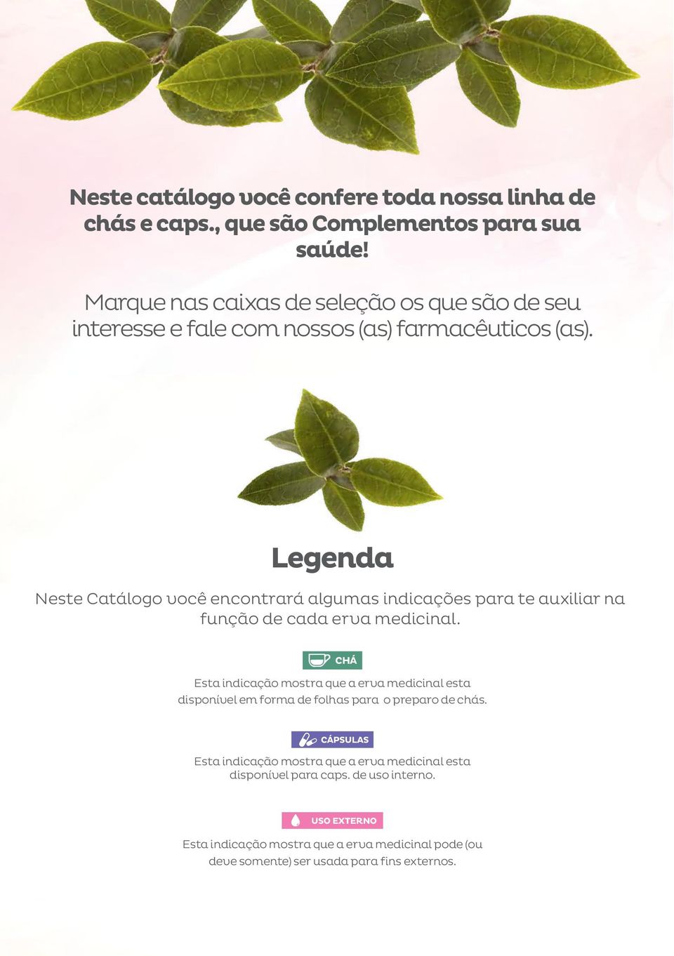 Legenda Neste Catálogo você encontrará algumas indicações para te auxiliar na função de cada erva medicinal.